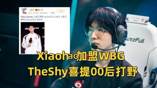 涵艺爆料打野视频,精彩操作与战术解析