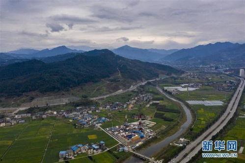 重庆新冠源头爆料最新,揭秘病毒起源之谜 第3张 重庆新冠源头爆料最新,揭秘病毒起源之谜 第3张