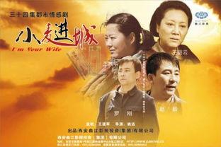 小麦进城电视剧全集在线观看,农村女孩的奋斗与蜕变之路 第3张 小麦进城电视剧全集在线观看,农村女孩的奋斗与蜕变之路 第3张